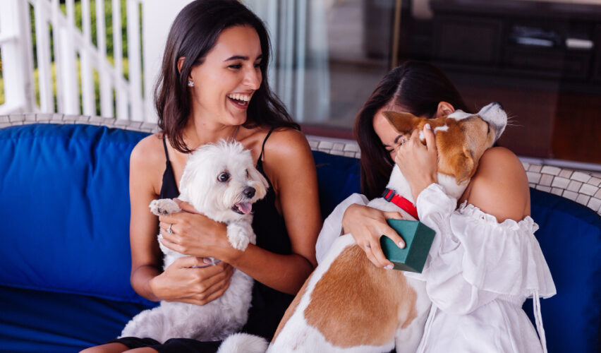 Hospedagem pet friendly: como transformar seu hotel em uma e atrair mais hóspedes com pets